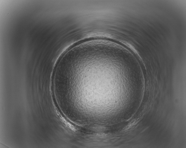 X0000058130799200509261259