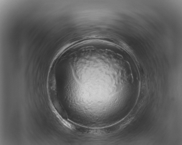 X0000058130803200509261259
