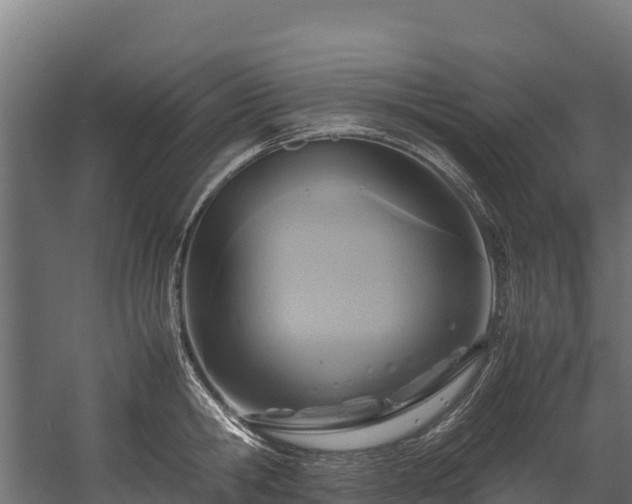 X0000058130806200509261259