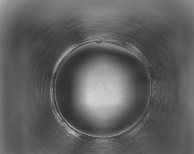 X0000058130812200509261259