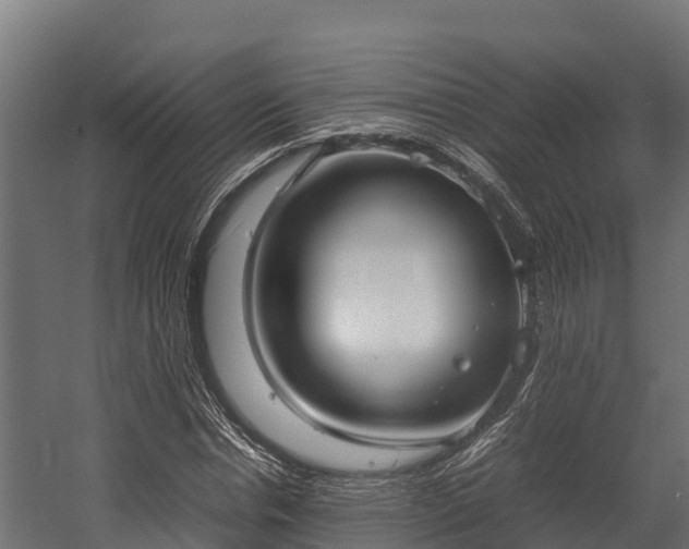 X0000058130826200509261258