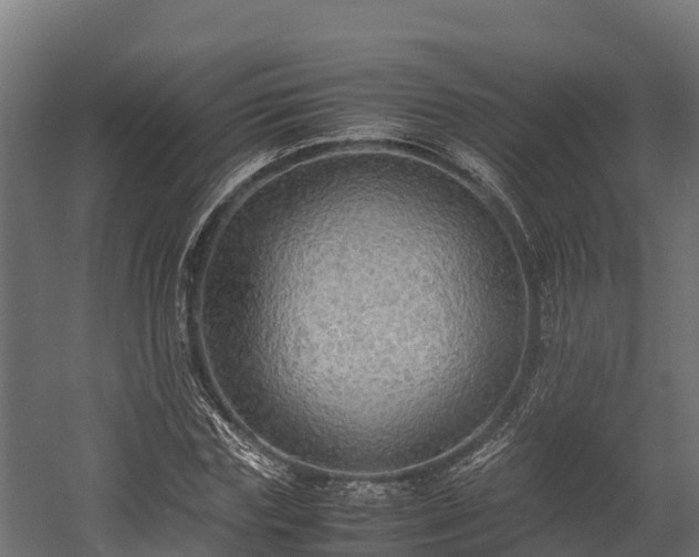 X0000058130827200509261258