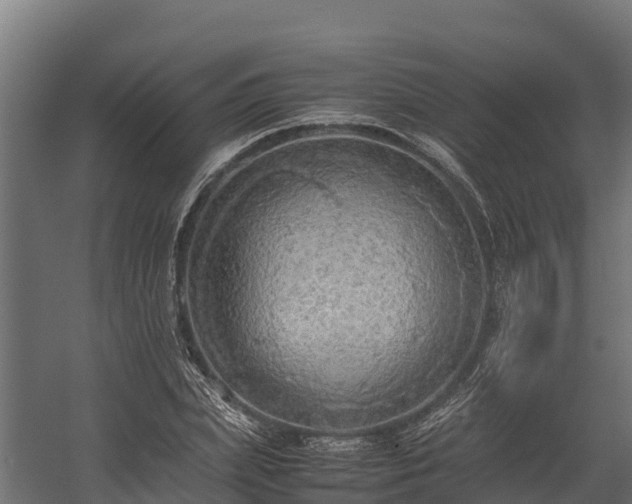 X0000058130831200509261258