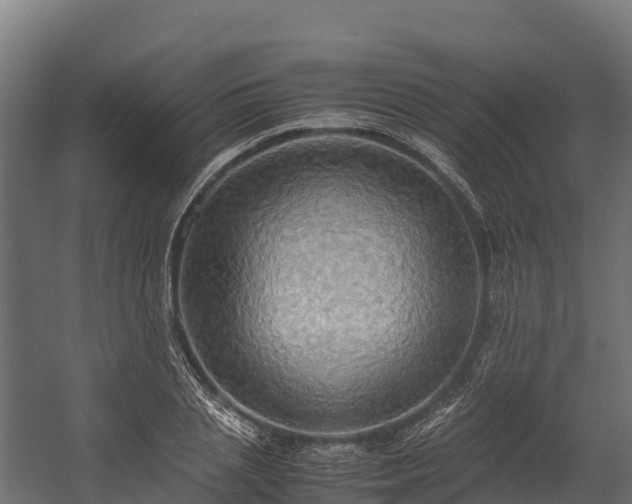 X0000058130837200509261258