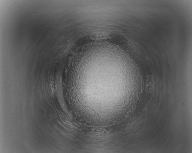 X0000058130866200509261258