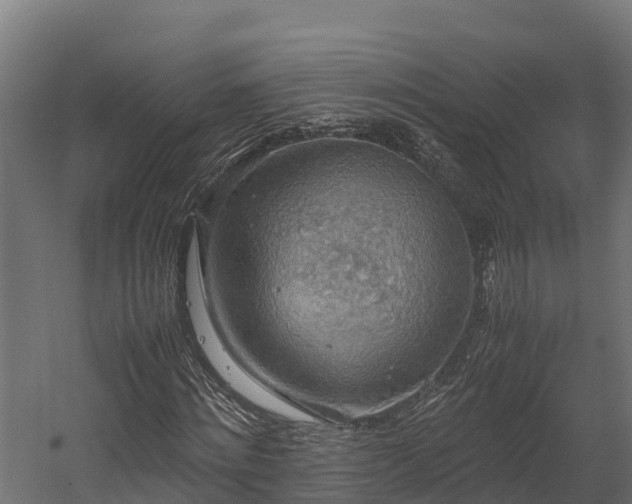 X0000058130868200509261258