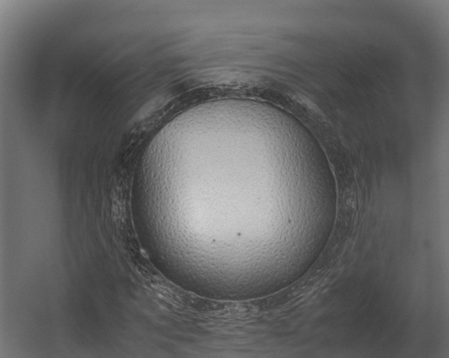 X0000058130869200509261258