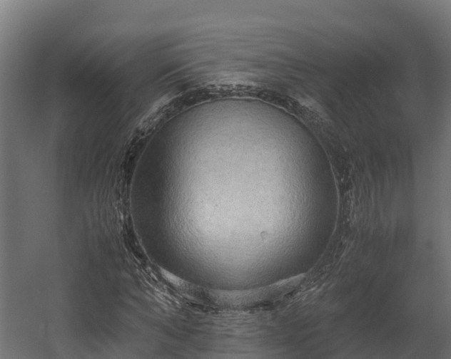 X0000058130870200509261258
