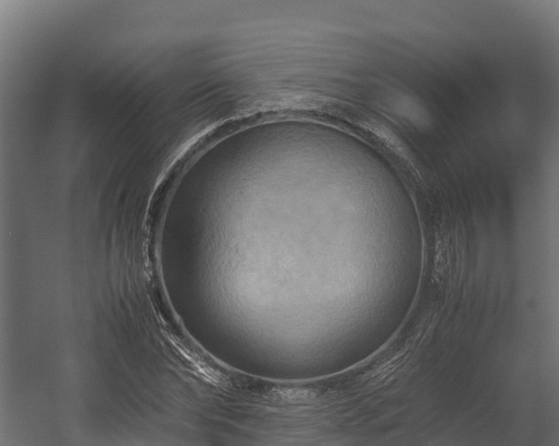 X0000058130878200509261258
