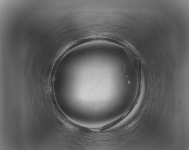 X0000058130885200509261257
