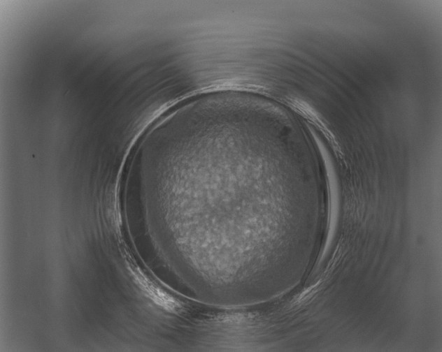 X0000058130892200509261257