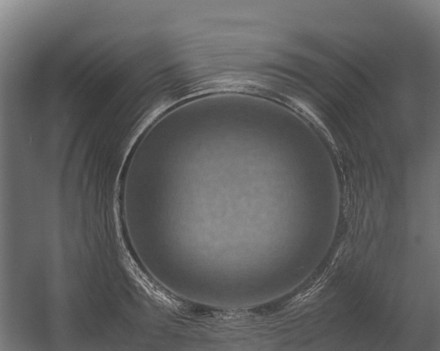 X0000058130899200509261257