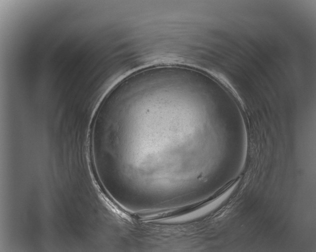 X0000058130903200509261257