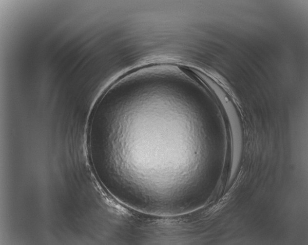 X0000058130904200509261257