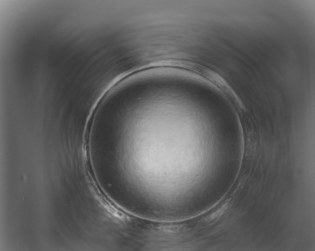 X0000058130908200509261257