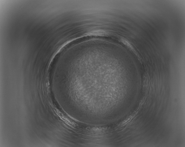 X0000058130923200509261256