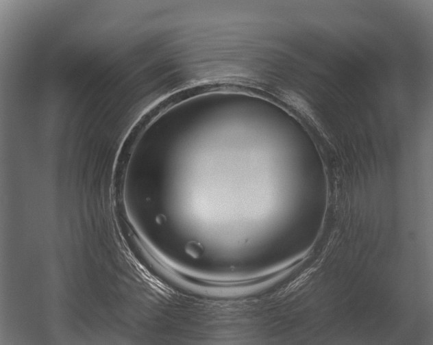 X0000058130924200509261256