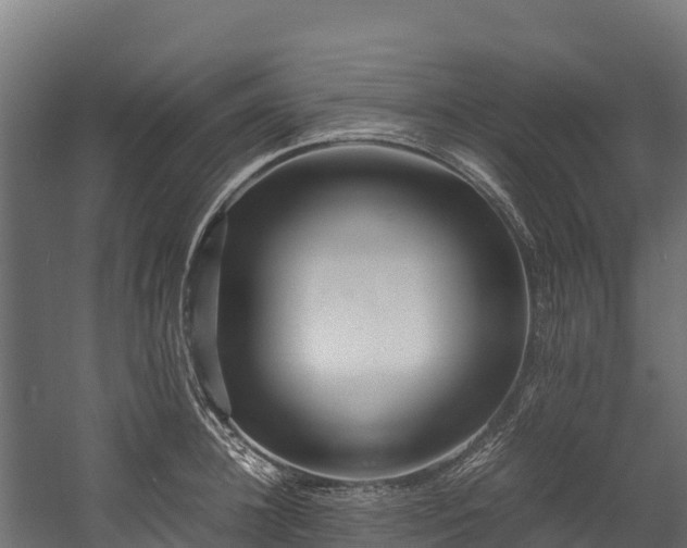 X0000058130948200509261257
