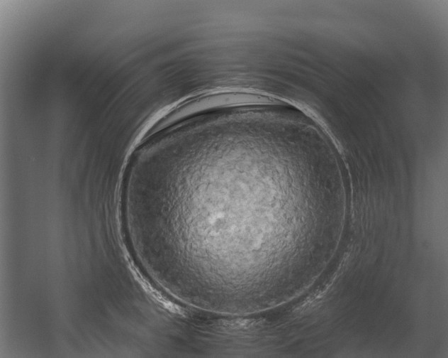 X0000058130949200509261257