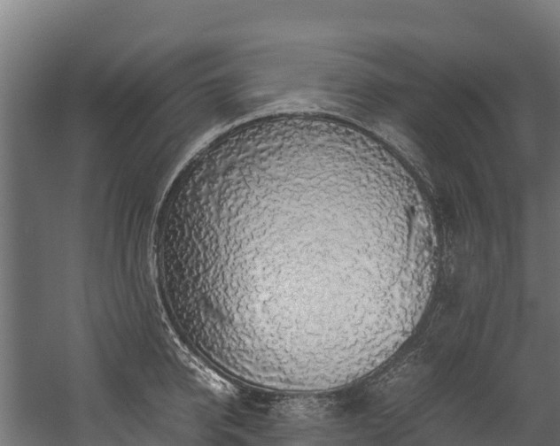 X0000058130950200509261257