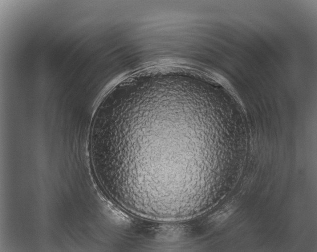 X0000058130954200509261257