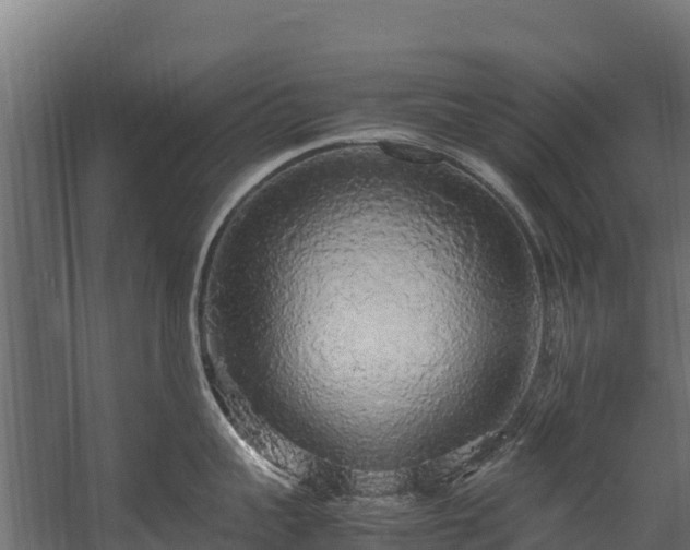 X0000058130959200509261257