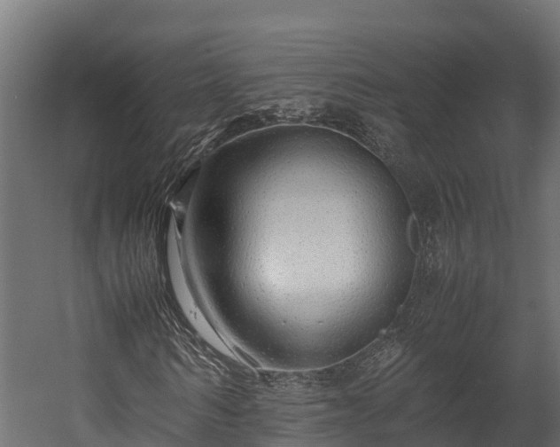 X0000058130962200509261256