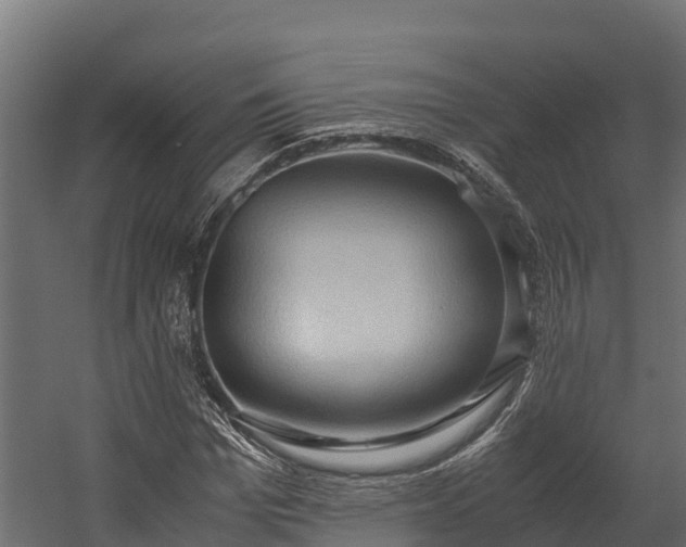 X0000058130969200509261256