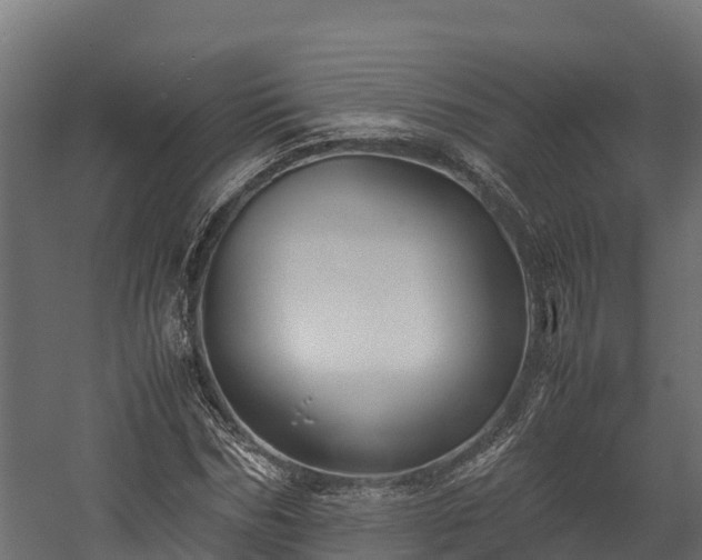 X0000058130970200509261256
