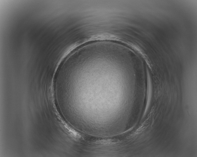 X0000058130990200509261256