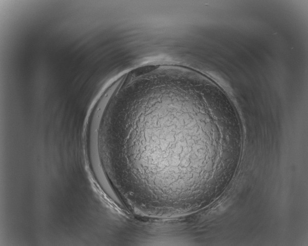 X0000058131008200509261255