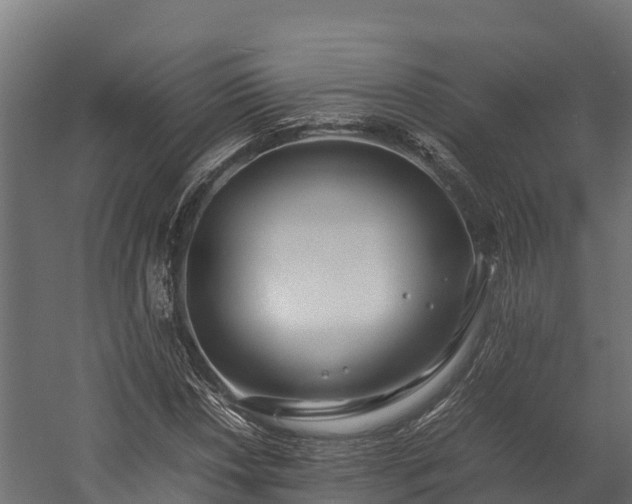X0000058131018200509261255