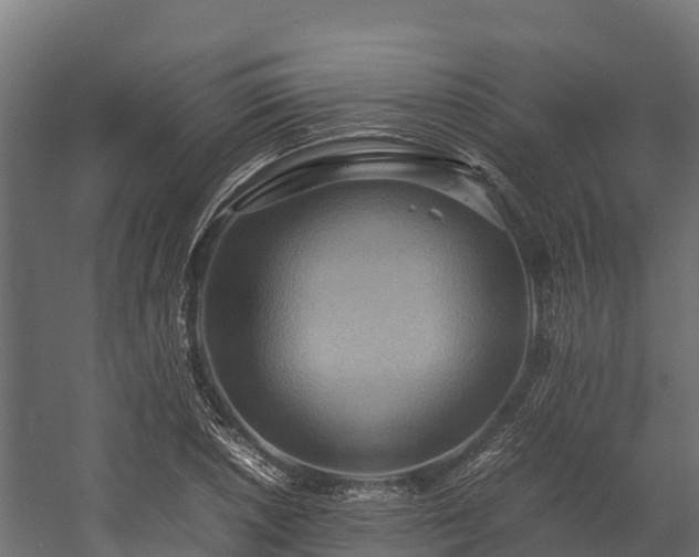 X0000058131026200509261255