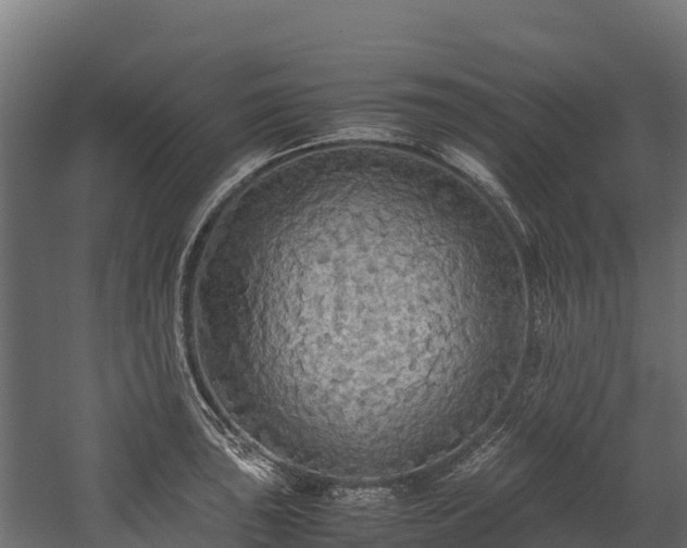 X0000058131043200509261255