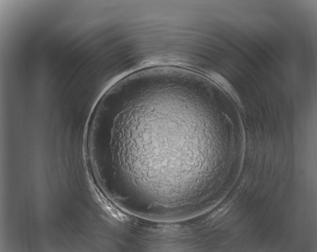 X0000058131052200509261255