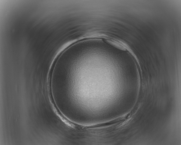 X0000058131053200509261255