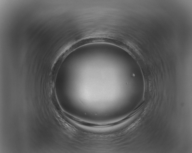 X0000058131069200509261254
