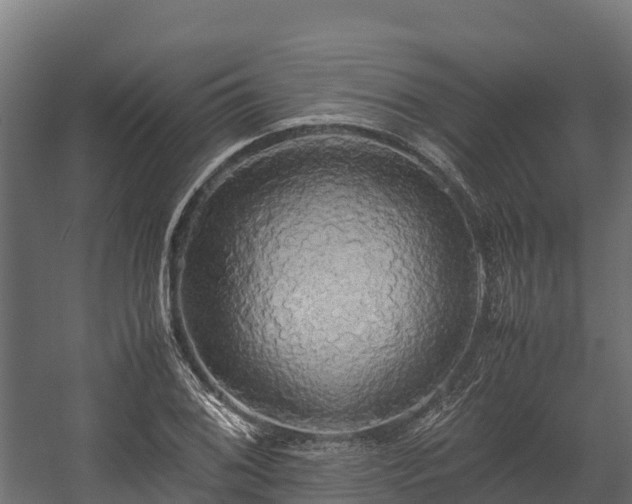 X0000058131076200509261254