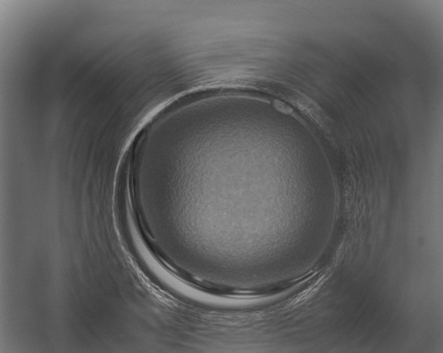 X0000058131077200509261254