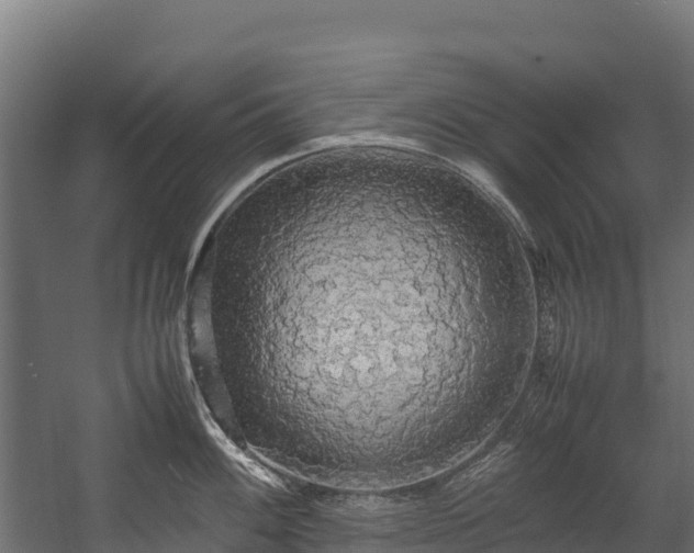 X0000058131100200509261254