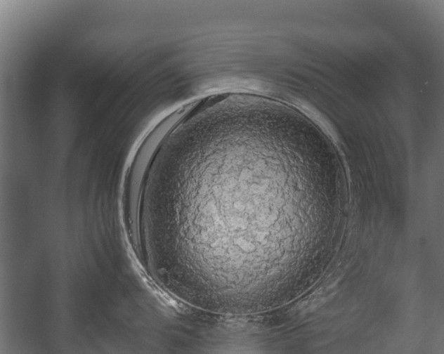 X0000058131104200509261254