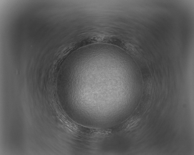 X0000058131105200509261253