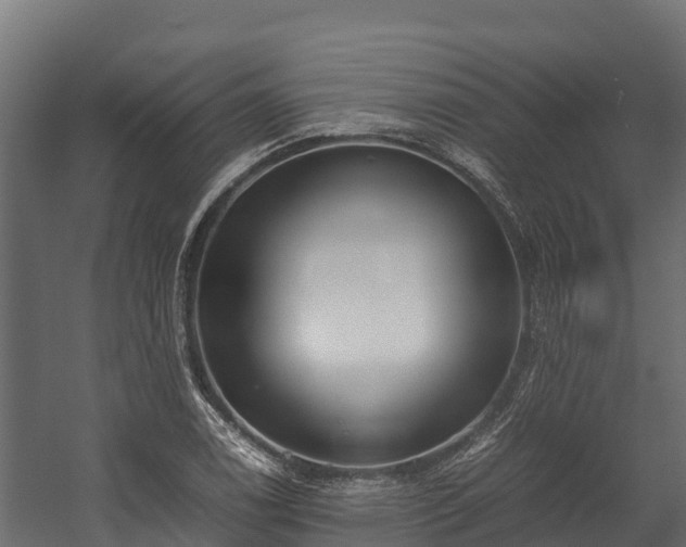 X0000058131122200509261253