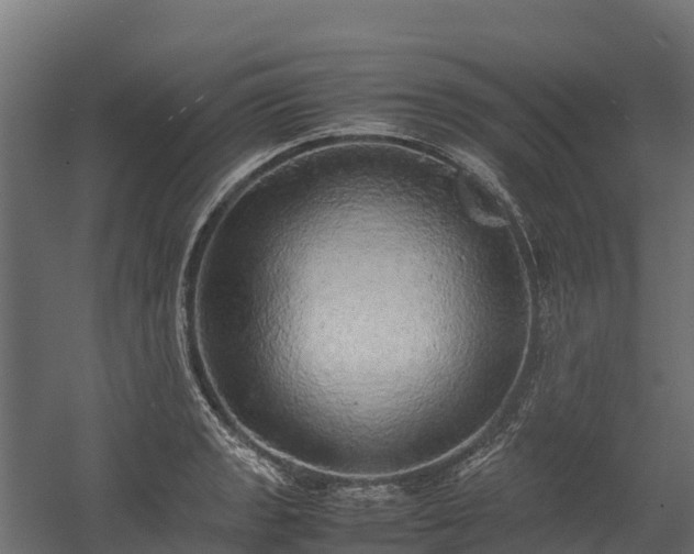 X0000058131133200509261253