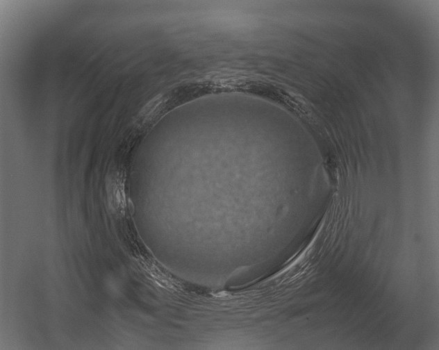 X0000058131155200509261253