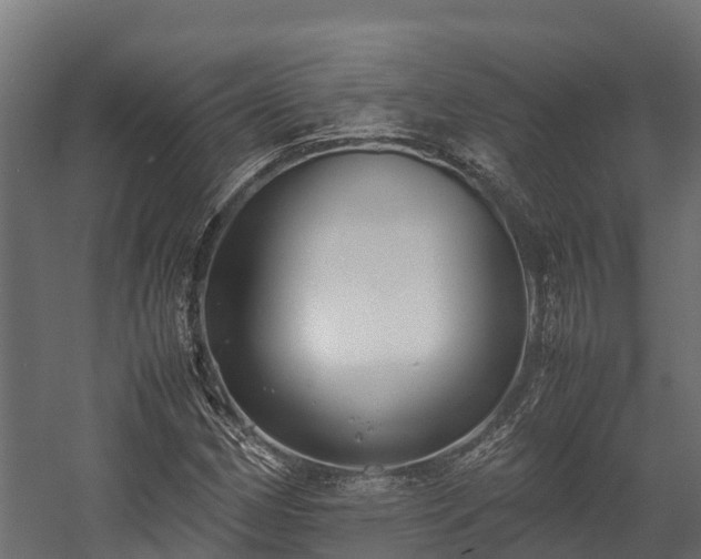 X0000058131162200509261253