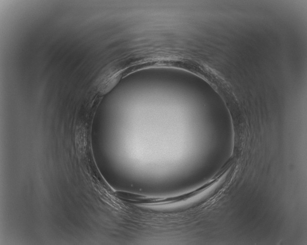 X0000058131169200509261253
