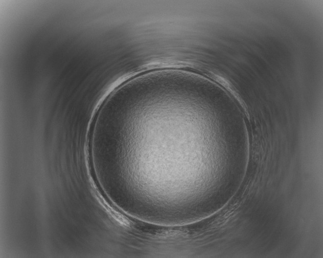 X0000058131187200509261252