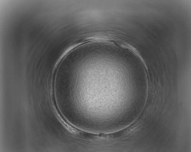 X0000058131195200509261252