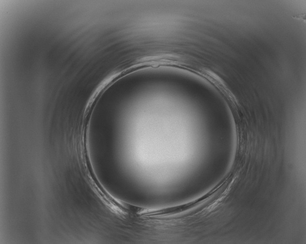 X0000058131196200509261252